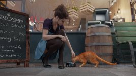 [SloP] Laffut Wines - Stray - 02.jpg