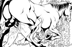 WW Paradise Island Inks 06.jpg