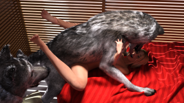 24.png
