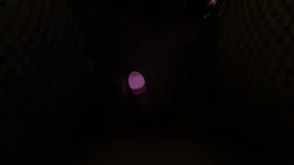 1041_Eve_Pulse_Lo.webp