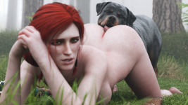 5.png 5.png