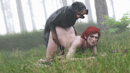 17.png 17.png
