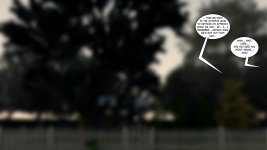 008.jpg