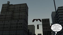 243.jpg