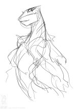IMG_1718.jpeg