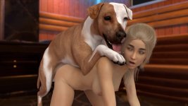 dogggg.jpg dogggg.jpg