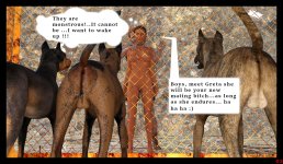kennel_2.jpg kennel_2.jpg