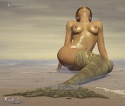 beach_phot_ergebnis.jpg