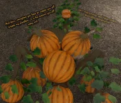 0617：halloween_17_by_bringthefun_dig5co9.webp