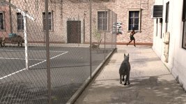 stray006.jpg