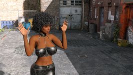 stray010.jpg