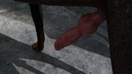 stray016.jpg
