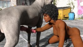 stray022.jpg