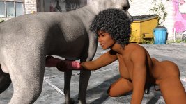 stray023.jpg