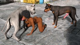 strays025.jpg