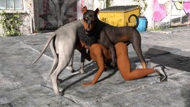 strays030.jpg