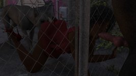 s027.jpg