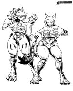 Digimon 2 Adventure 02 X 3 Tamers Kari Kamiya and Rika transforming into Gatomon Renamon DigiB...jpg