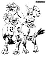 Digimon 2 Adventure 02 X 3 Tamers Kari Kamiya and Rika transforming into Gatomon Renamon DigiB...jpg