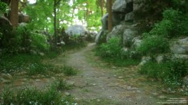Fallen_Lady_4_192.jpg