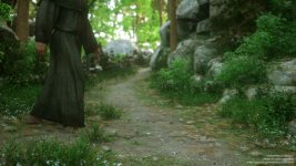 Fallen_Lady_4_193.jpg