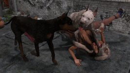 K9-089.jpg