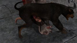 K9-104.jpg