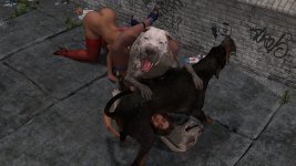 K9-111.jpg
