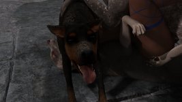 K9-116.jpg
