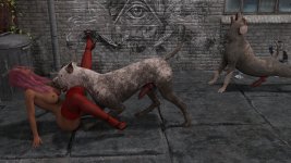 K9-133.jpg