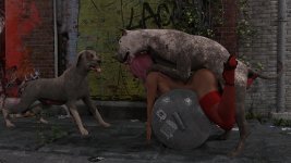 K9-142.jpg