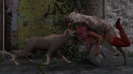 K9-147.jpg