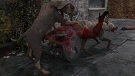 K9-157.jpg