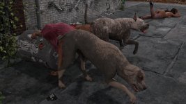 K9-158.jpg