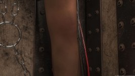 233.jpg