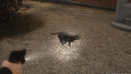 The Asylum - I swear! - 2K - 0051_ergebnis.jpg