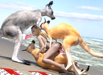 16.png