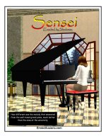 Sensei-001.jpg