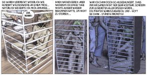 vGj4_de_091.jpg