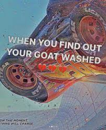 1748485989611.png