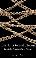 Bertram Fox - The Reluctant Master Trilogy - 2 - The Accidental Harem (2014).jpg