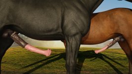 HorsePenisSizeDifference.jpg