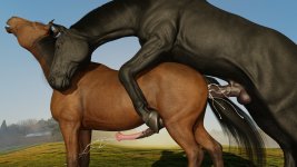 GayHorses_01.jpg