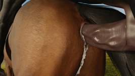 GayHorses_02.jpg