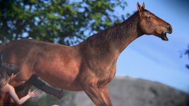 Nikki_Crystal-Horse 0035.jpg