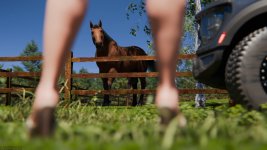 Nikki_SummerDress_Horse_7.jpg