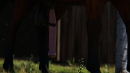 Nikki_SummerDress_Horse_11.jpg