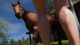 Nikki_SummerDress_Horse_21.jpg