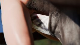 Nikki_SummerDress_Horse_86.jpg