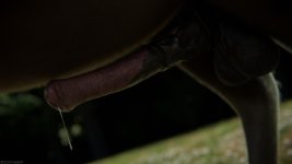 Nikkis Big Friend - P4 - 58.jpg